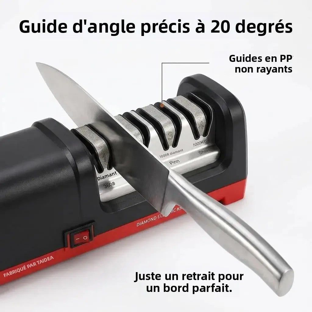 Coltello tirato nella guida angolare a 20° dell'affilacoltelli elettrico